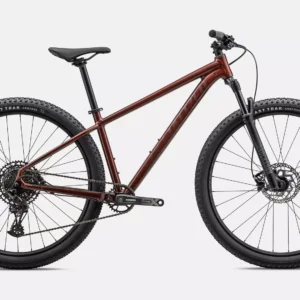 ROCKHOPPER EXPERT 29 BRA RSTDRED/RSTDRED M